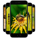 Bee Wallpapers aplikacja