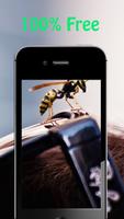 Bee Wallpapers capture d'écran 1