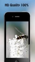 Bee Wallpapers capture d'écran 2