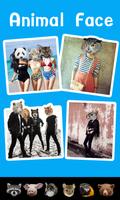 Animal Face 海报