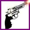 Virtual Gun