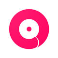 VOXNET