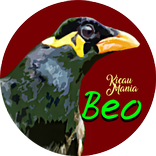 Suara Beo Master Unik