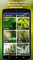 Le potager aromatique imagem de tela 1