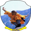 APK The best shaolin martial art training