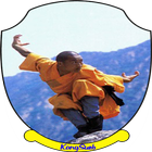 The best shaolin martial art training ícone
