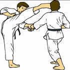 Learn Taekwondo icono