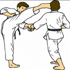 Learn Taekwondo আইকন