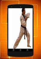 Learn Taekwondo capture d'écran 1