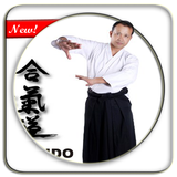 Learning Basic Aikido Technique icône