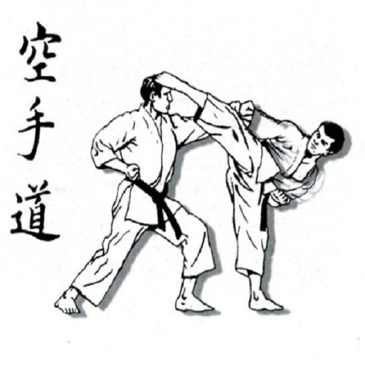 sunwin Learn Karate