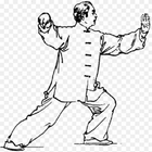 Học Kung Fu biểu tượng