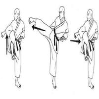 Kung Fu öğrenin Ekran Görüntüsü 2