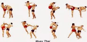 Aprenda técnicas de Muay Thai