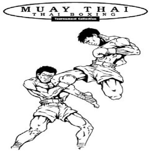 Lerne Muay Thai Techniken