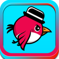 ”New Angry Birds