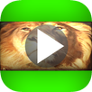 Türkçe Belgesel izle APK