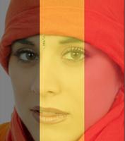 Belgium Flag Face: Anti Attack capture d'écran 2