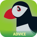Free Puffin Web Browser 2017 Advice APK