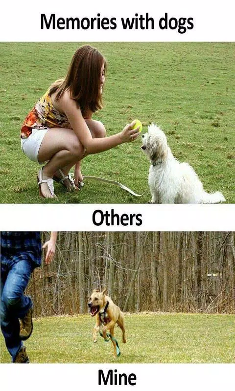 Be Like Apk For Android Download