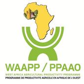 Waapp Guinée icon