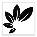 TBF Fitness Portuguese APK