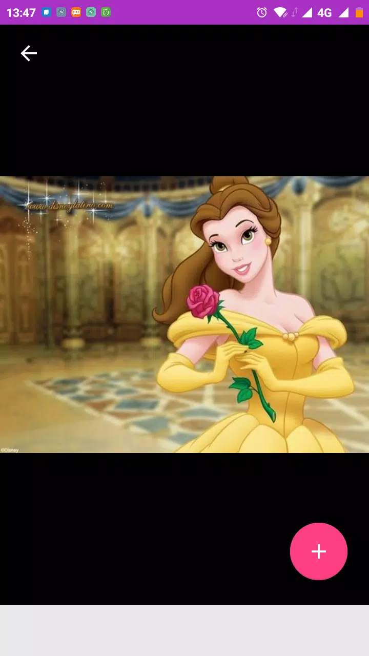 Princess Belle Princess Belle