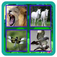 Animal Quiz New পোস্টার