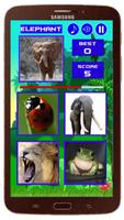 Animal Quiz New スクリーンショット 1
