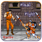 Guide Final Fight 2017 ikon