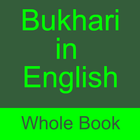 Bukhari in English, full Book icône