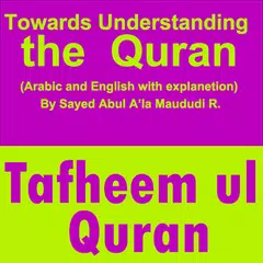 Скачать Understanding Quran Tafhemul Q APK
