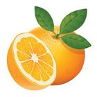संतरे से होने बाले फायदे icon