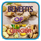 Benefits Of Ginger biểu tượng