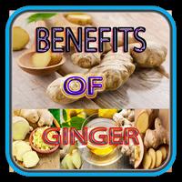 Benefits Of Ginger poster