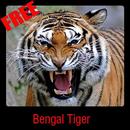 Bengal Tiger APK
