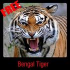 Bengal Tiger icône