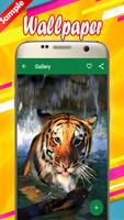 Bengal Tiger Wallpapers captura de pantalla 3