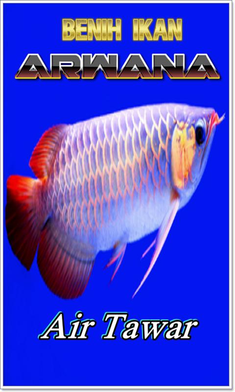 Download Gambar Ikan  Arwana  Koleksi Gambar HD 