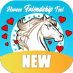 Horses Friendship Test - Bet