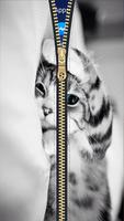 Kitty Cat Zipper Lock Screen HD poster