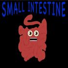 Human Body Small Intestines Song  Kids Offline biểu tượng