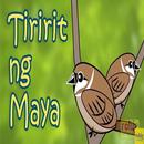 Pinoy Song Tiririt ng Maya for Kids w/ Lyrics APK