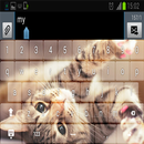 My picture keyboard Pro APK