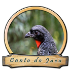ikon Canto do Jacu