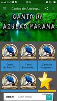 Cantos de Azulaoparana screenshot 1