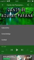 Cantos de Azulaoparana 스크린샷 2