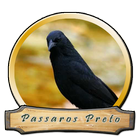 Cantos de Preto Pele アイコン