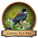 Cantos de Coleiro Tui Tui APK