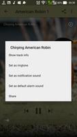 Best Chirping American Robin imagem de tela 3